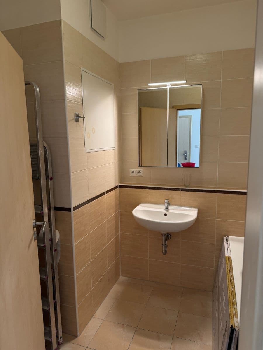 1 bedroom with open-plan kitchen flat to rent, 58 m², Bratislavská, Prague, Prague 1 bedroom with open-plan kitchen flat to rent, 58 m², Bratislavská, Prague, Prague
