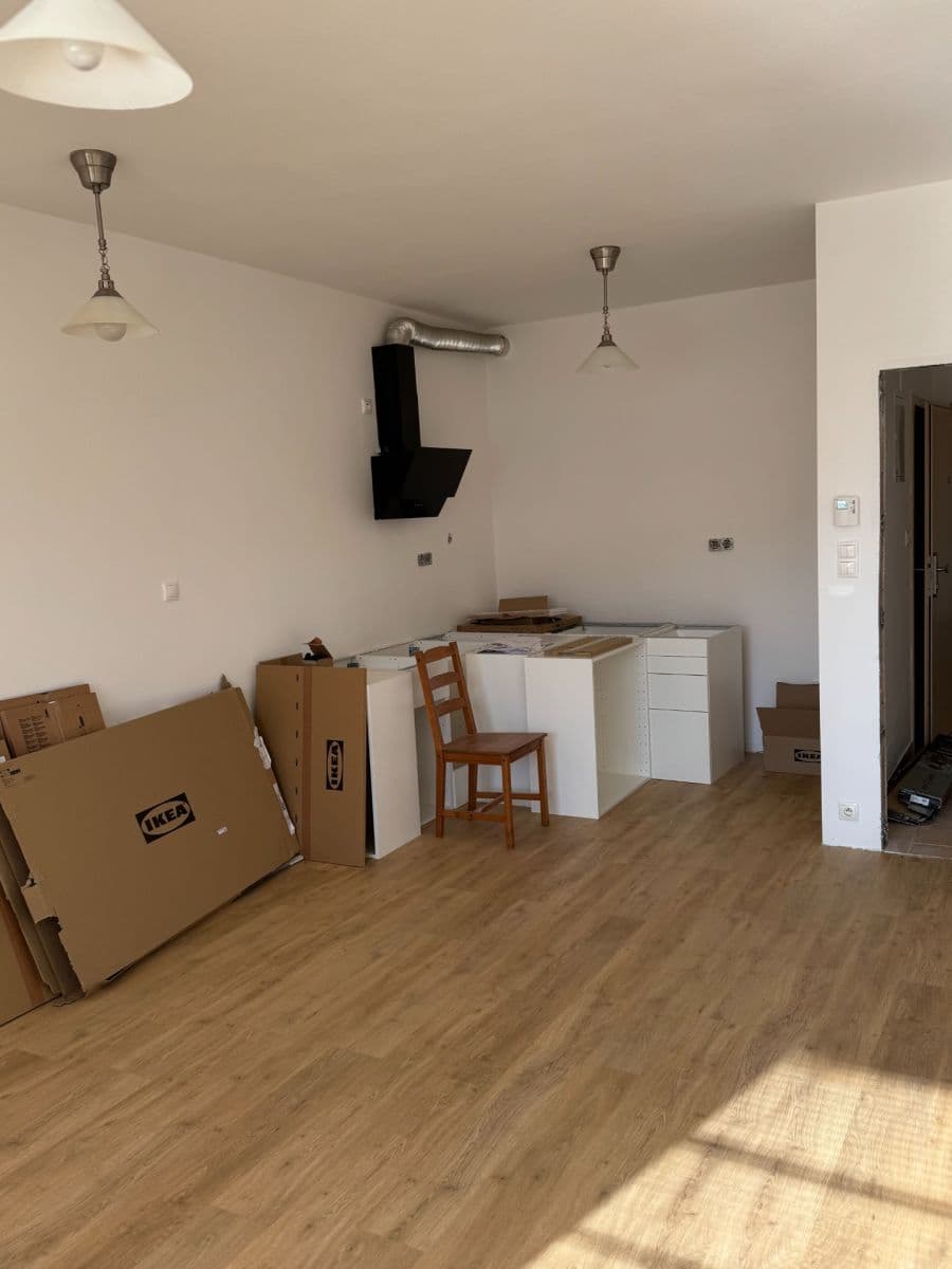 1 bedroom with open-plan kitchen flat to rent, 58 m², Bratislavská, Prague, Prague 1 bedroom with open-plan kitchen flat to rent, 58 m², Bratislavská, Prague, Prague