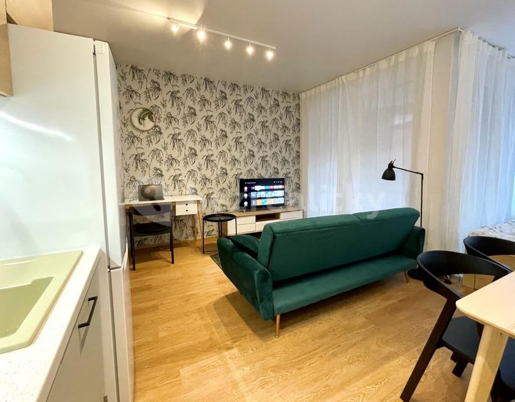 Studio flat to rent, 40 m², U Pergamenky, Prague, Prague Studio flat to rent, 40 m², U Pergamenky, Prague, Prague