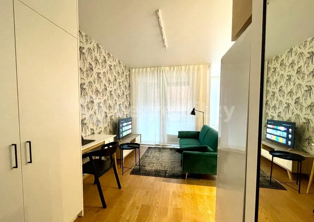 Studio flat to rent, 40 m², U Pergamenky, Prague, Prague Studio flat to rent, 40 m², U Pergamenky, Prague, Prague