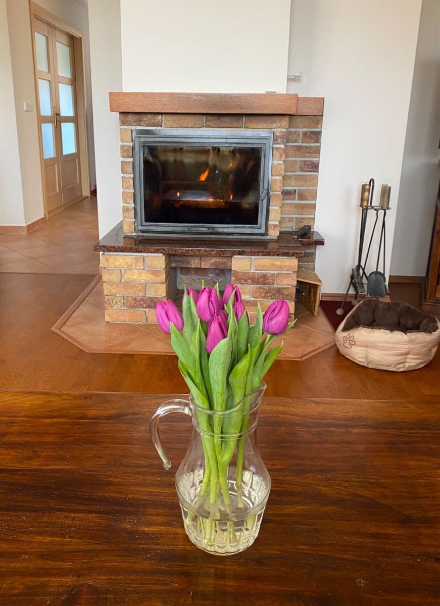 house for sale, 114 m², Mnichovo Hradiště, Středočeský Region house for sale, 114 m², Mnichovo Hradiště, Středočeský Region