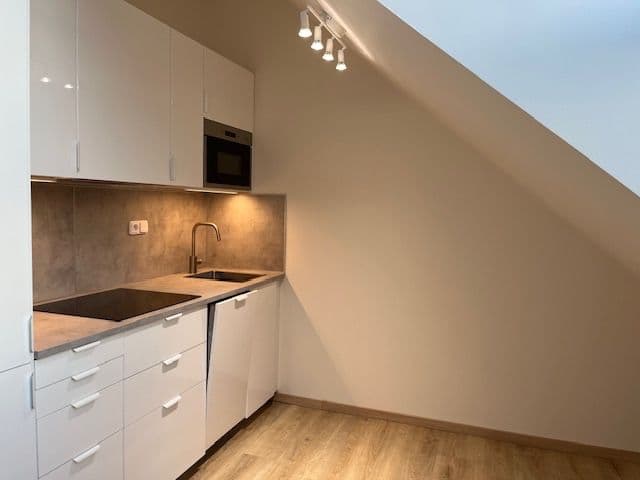 Studio flat to rent, 22 m², Studentská, Prague, Prague Studio flat to rent, 22 m², Studentská, Prague, Prague