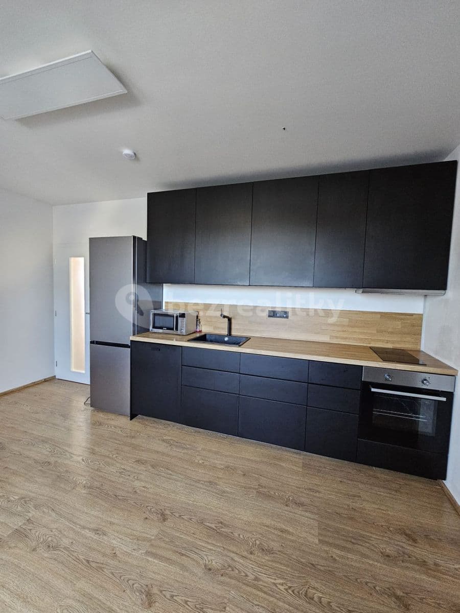 1 bedroom with open-plan kitchen flat to rent, 51 m², Husovická, Brno, Jihomoravský Region 1 bedroom with open-plan kitchen flat to rent, 51 m², Husovická, Brno, Jihomoravský Region