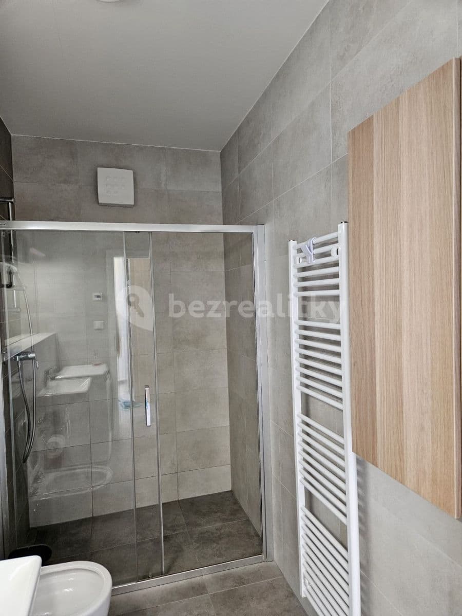 1 bedroom with open-plan kitchen flat to rent, 51 m², Husovická, Brno, Jihomoravský Region 1 bedroom with open-plan kitchen flat to rent, 51 m², Husovická, Brno, Jihomoravský Region
