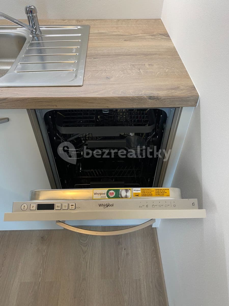 1 bedroom with open-plan kitchen flat to rent, 52 m², K Metru, Prague, Prague 1 bedroom with open-plan kitchen flat to rent, 52 m², K Metru, Prague, Prague