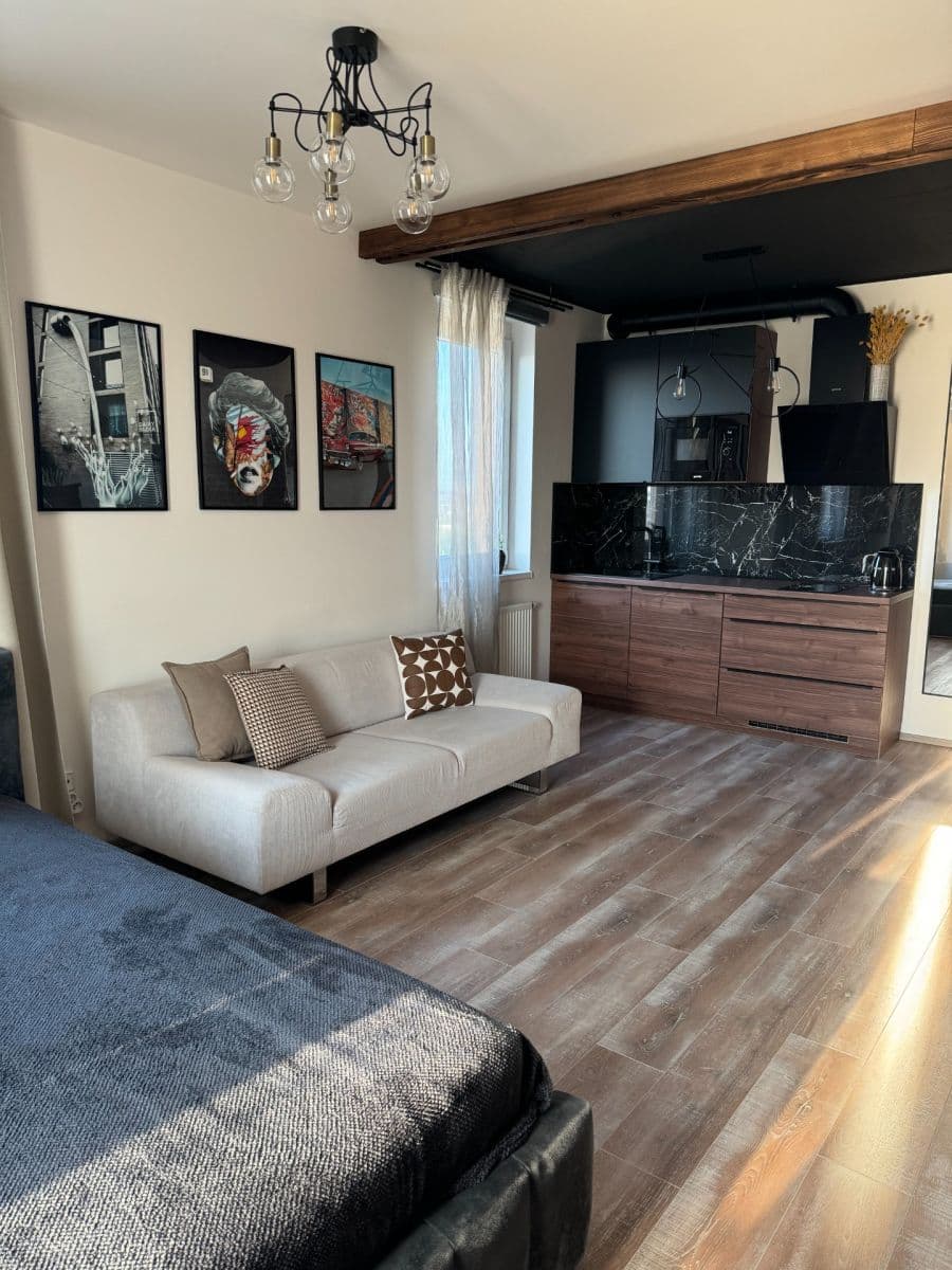 Studio flat to rent, 42 m², Honzíkova, Prague, Prague Studio flat to rent, 42 m², Honzíkova, Prague, Prague