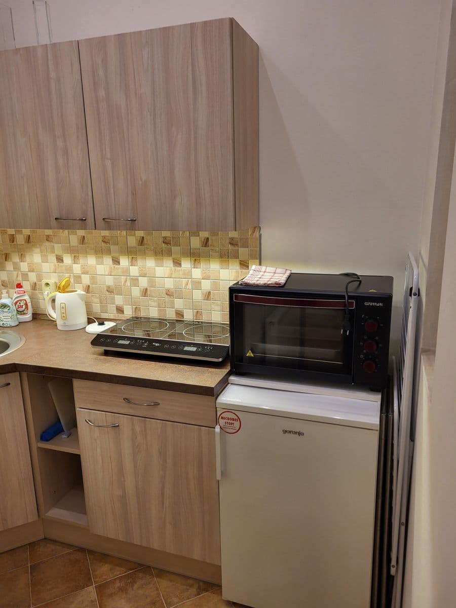 flat to rent, 48 m², Františka Křížka, Prague, Prague flat to rent, 48 m², Františka Křížka, Prague, Prague