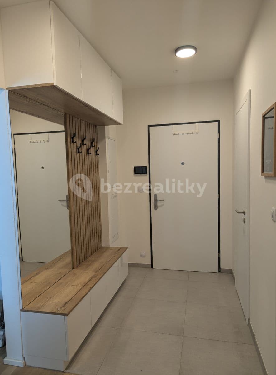 1 bedroom with open-plan kitchen flat to rent, 60 m², V Horkách, Prague, Prague 1 bedroom with open-plan kitchen flat to rent, 60 m², V Horkách, Prague, Prague