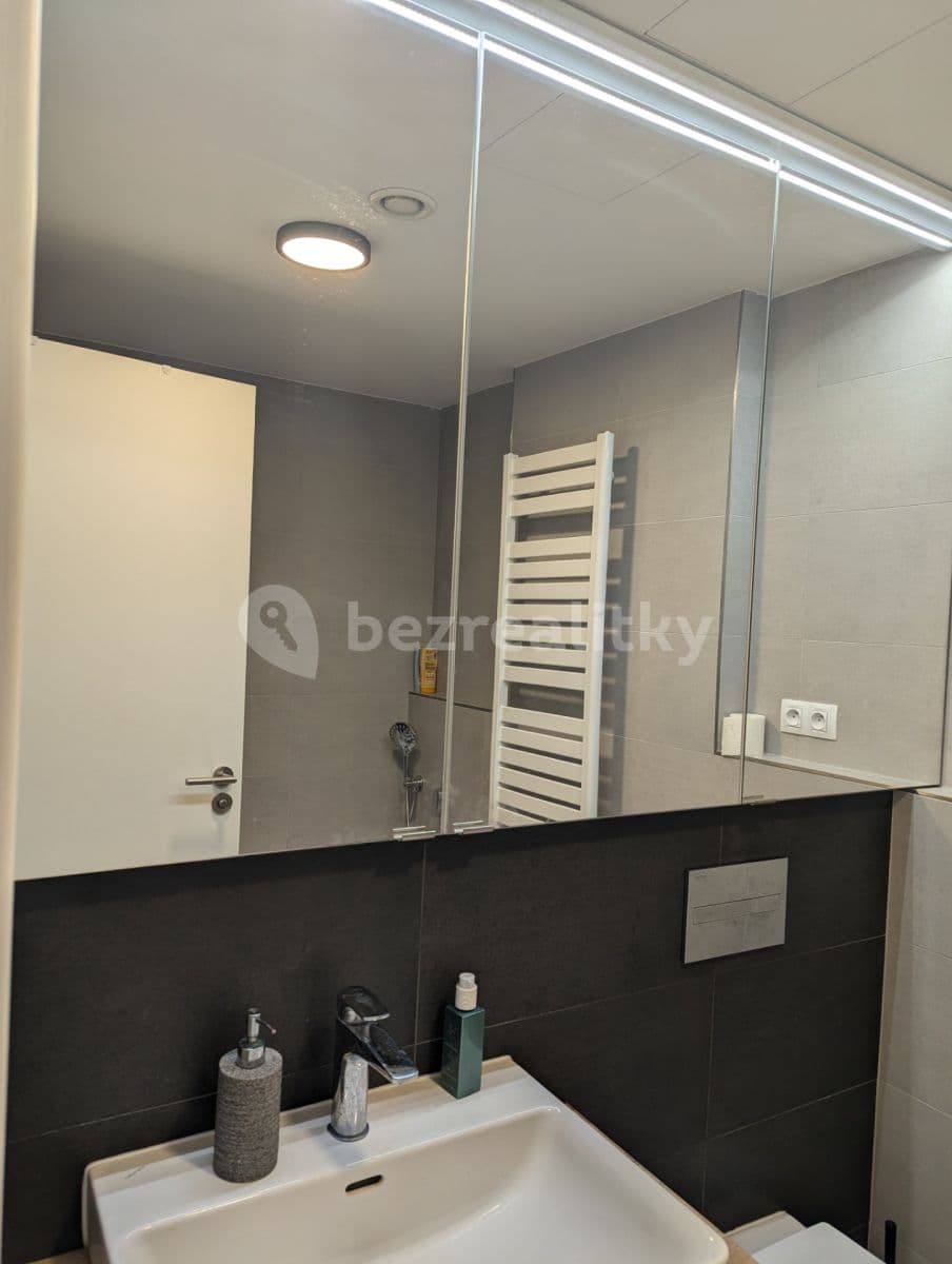 1 bedroom with open-plan kitchen flat to rent, 60 m², V Horkách, Prague, Prague 1 bedroom with open-plan kitchen flat to rent, 60 m², V Horkách, Prague, Prague