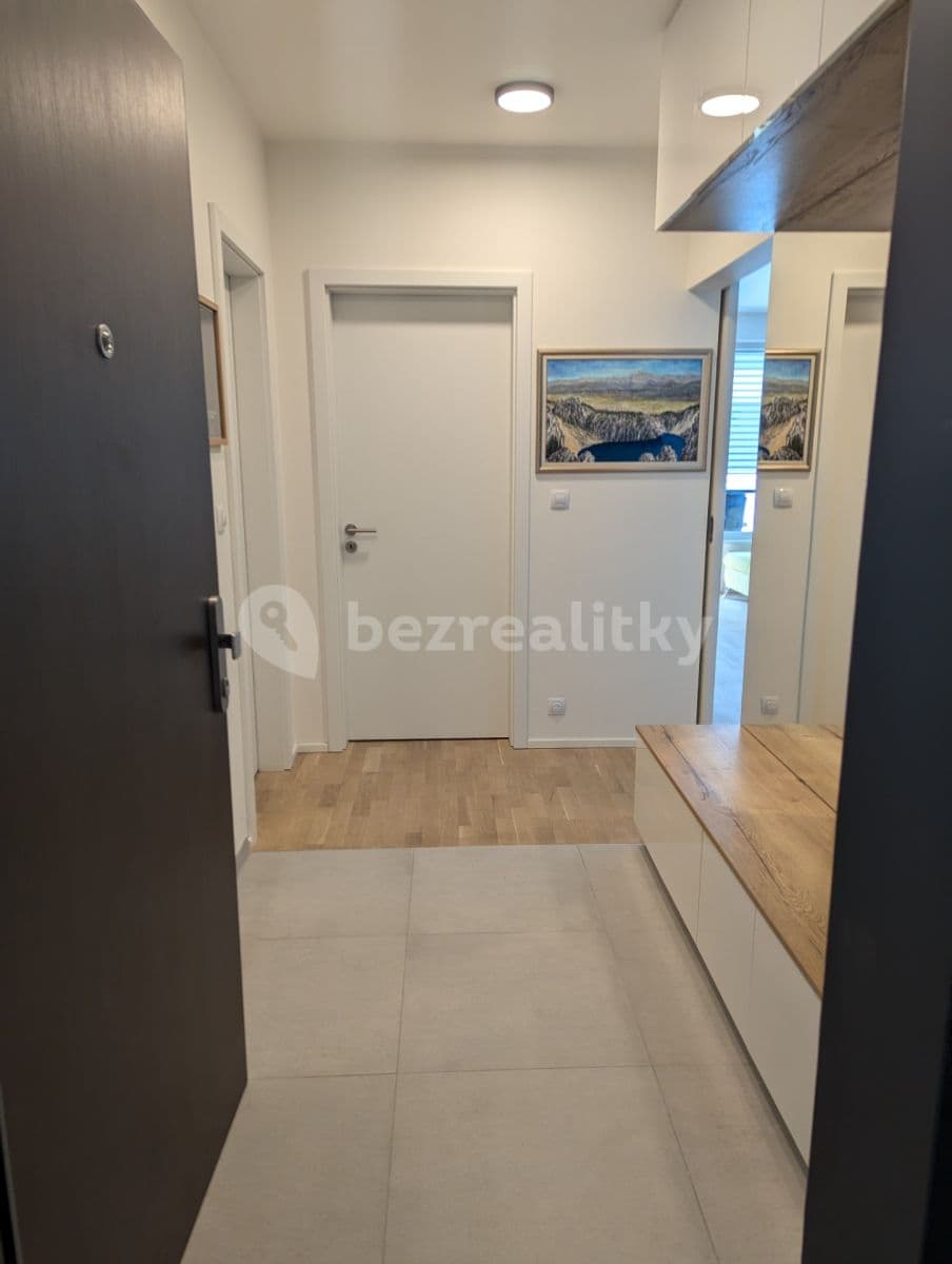 1 bedroom with open-plan kitchen flat to rent, 60 m², V Horkách, Prague, Prague 1 bedroom with open-plan kitchen flat to rent, 60 m², V Horkách, Prague, Prague