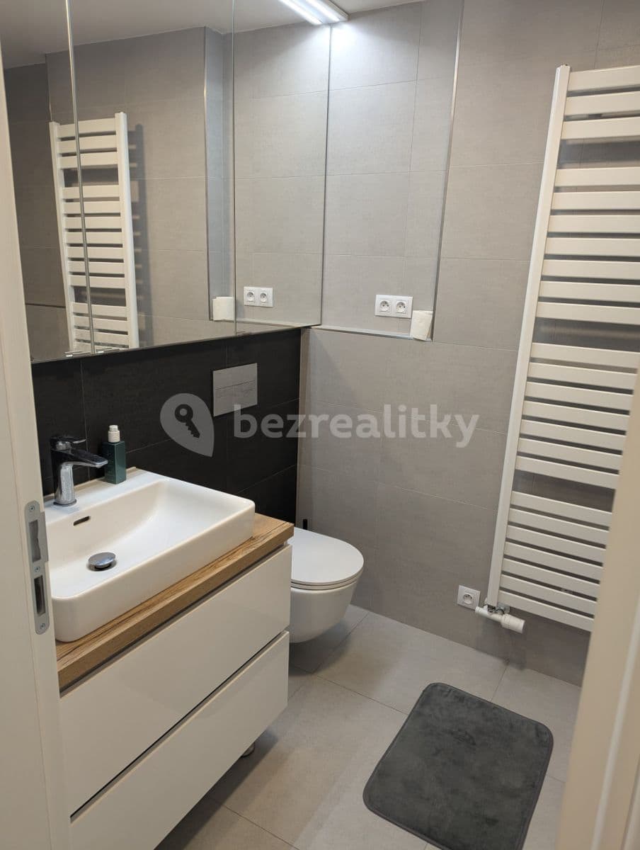 1 bedroom with open-plan kitchen flat to rent, 60 m², V Horkách, Prague, Prague 1 bedroom with open-plan kitchen flat to rent, 60 m², V Horkách, Prague, Prague