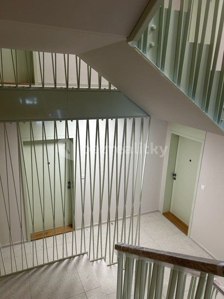 1 bedroom with open-plan kitchen flat to rent, 56 m², Pod Juliskou, Prague, Prague 1 bedroom with open-plan kitchen flat to rent, 56 m², Pod Juliskou, Prague, Prague