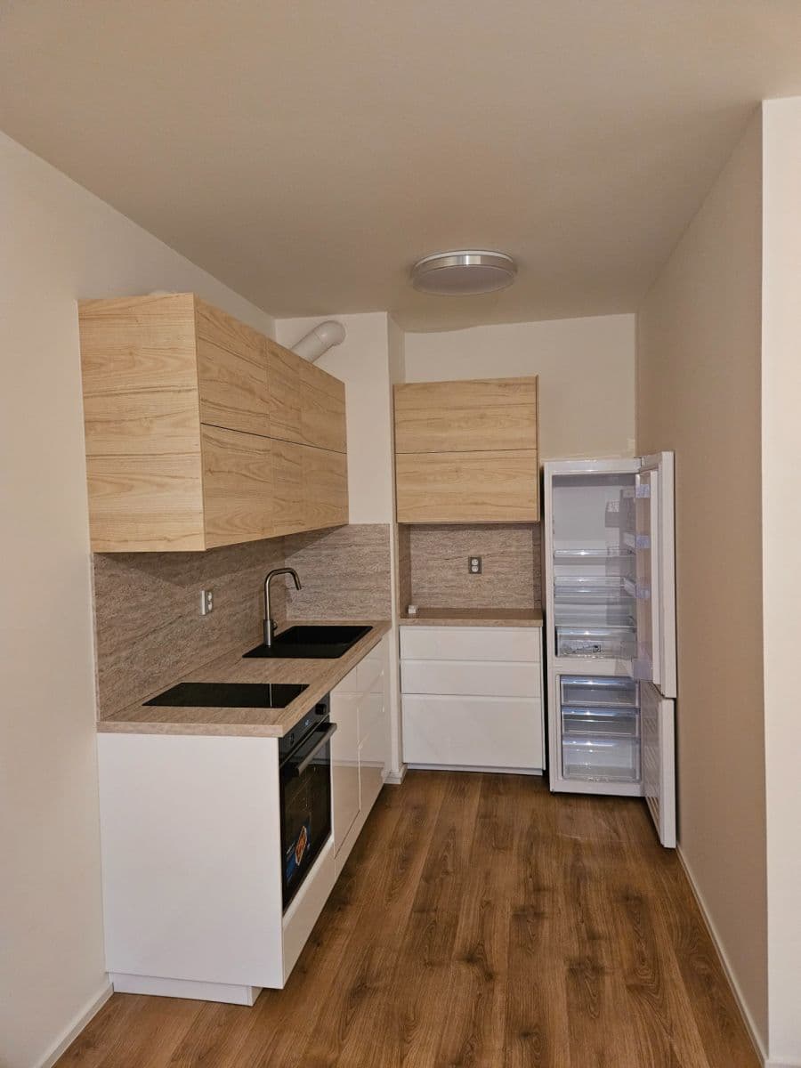 1 bedroom with open-plan kitchen flat to rent, 45 m², U Židovského hřbitova, Beroun, Středočeský Region 1 bedroom with open-plan kitchen flat to rent, 45 m², U Židovského hřbitova, Beroun, Středočeský Region