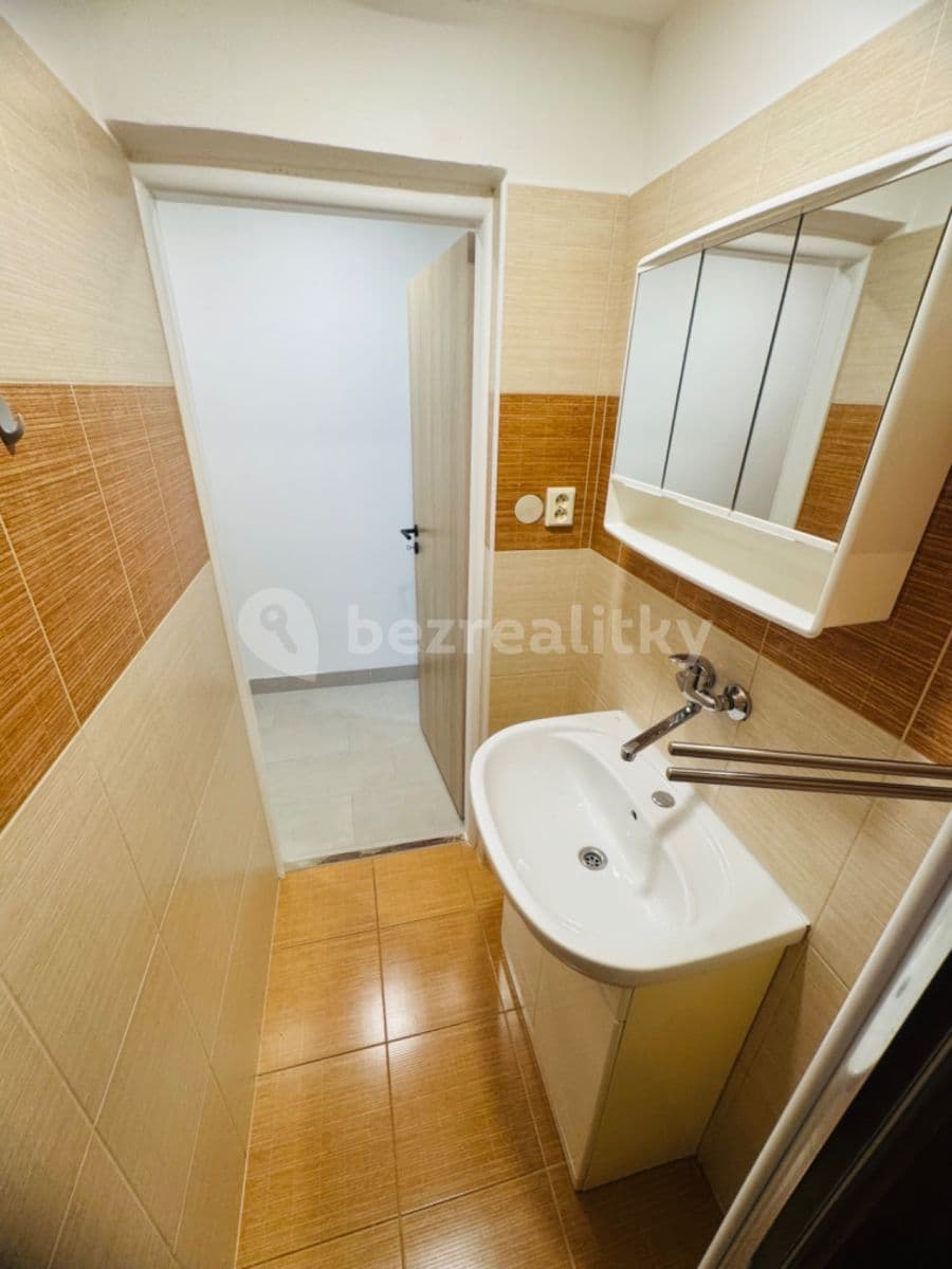 1 bedroom with open-plan kitchen flat to rent, 50 m², Geislerova, Brno, Jihomoravský Region 1 bedroom with open-plan kitchen flat to rent, 50 m², Geislerova, Brno, Jihomoravský Region