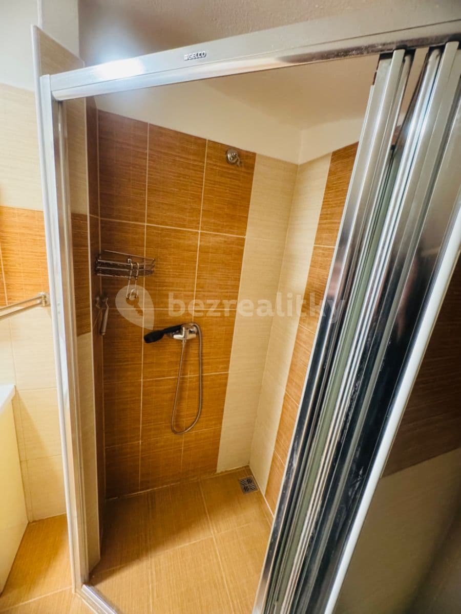 1 bedroom with open-plan kitchen flat to rent, 50 m², Geislerova, Brno, Jihomoravský Region 1 bedroom with open-plan kitchen flat to rent, 50 m², Geislerova, Brno, Jihomoravský Region