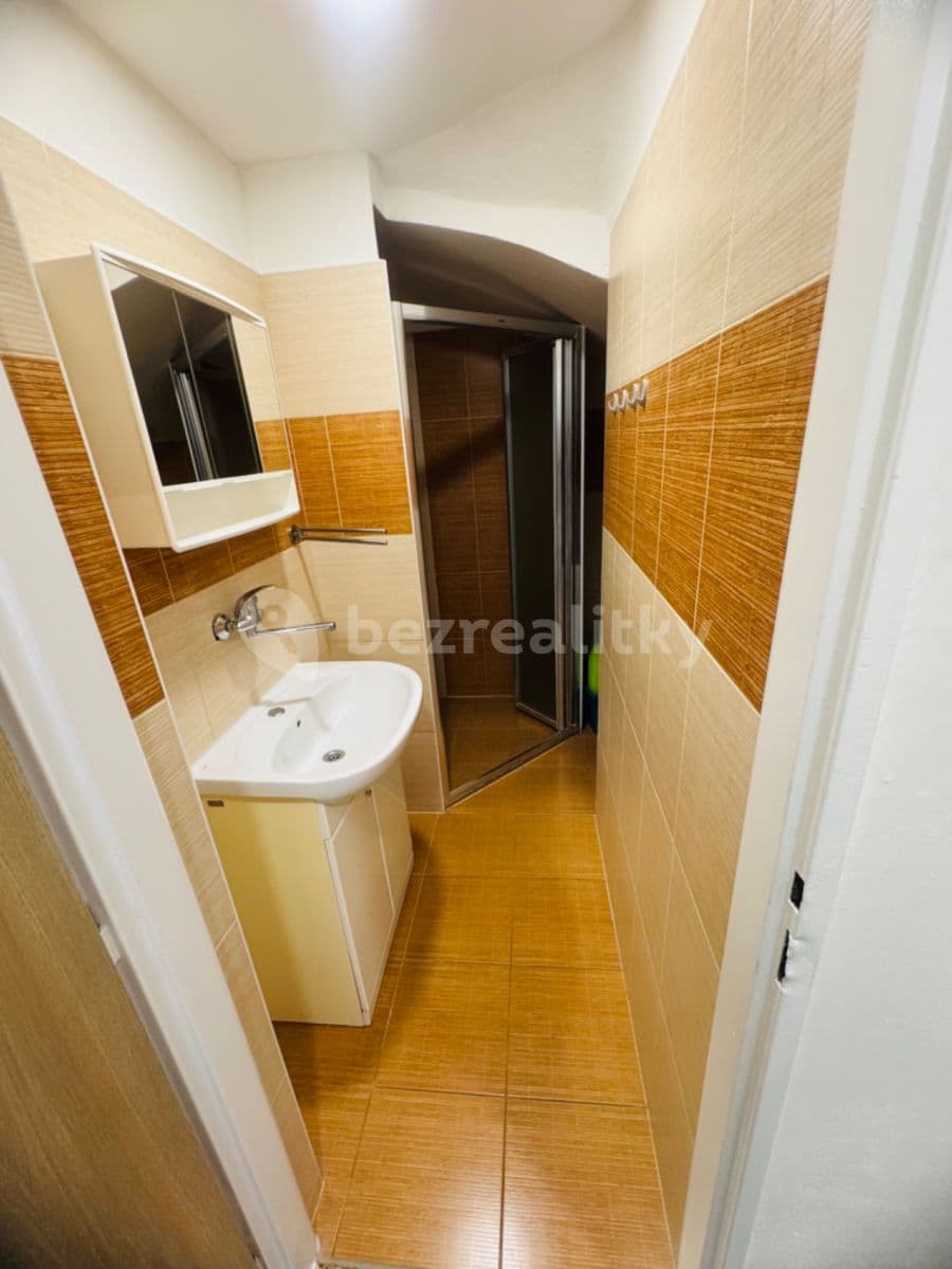 1 bedroom with open-plan kitchen flat to rent, 50 m², Geislerova, Brno, Jihomoravský Region 1 bedroom with open-plan kitchen flat to rent, 50 m², Geislerova, Brno, Jihomoravský Region