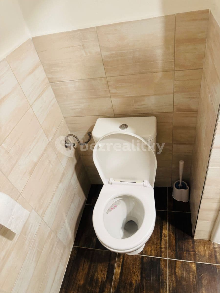 1 bedroom with open-plan kitchen flat to rent, 50 m², Geislerova, Brno, Jihomoravský Region 1 bedroom with open-plan kitchen flat to rent, 50 m², Geislerova, Brno, Jihomoravský Region