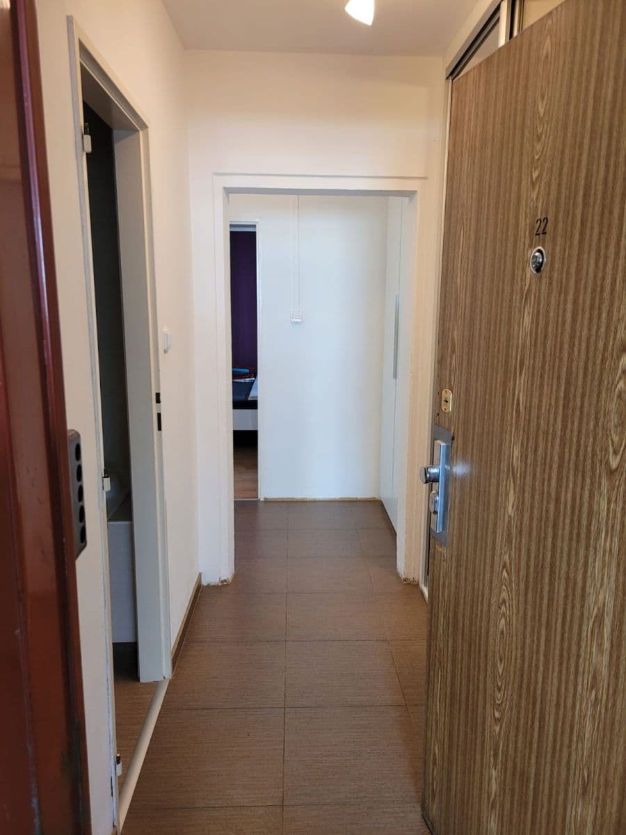 1 bedroom with open-plan kitchen flat to rent, 42 m², Ratibořská, Prague, Prague 1 bedroom with open-plan kitchen flat to rent, 42 m², Ratibořská, Prague, Prague