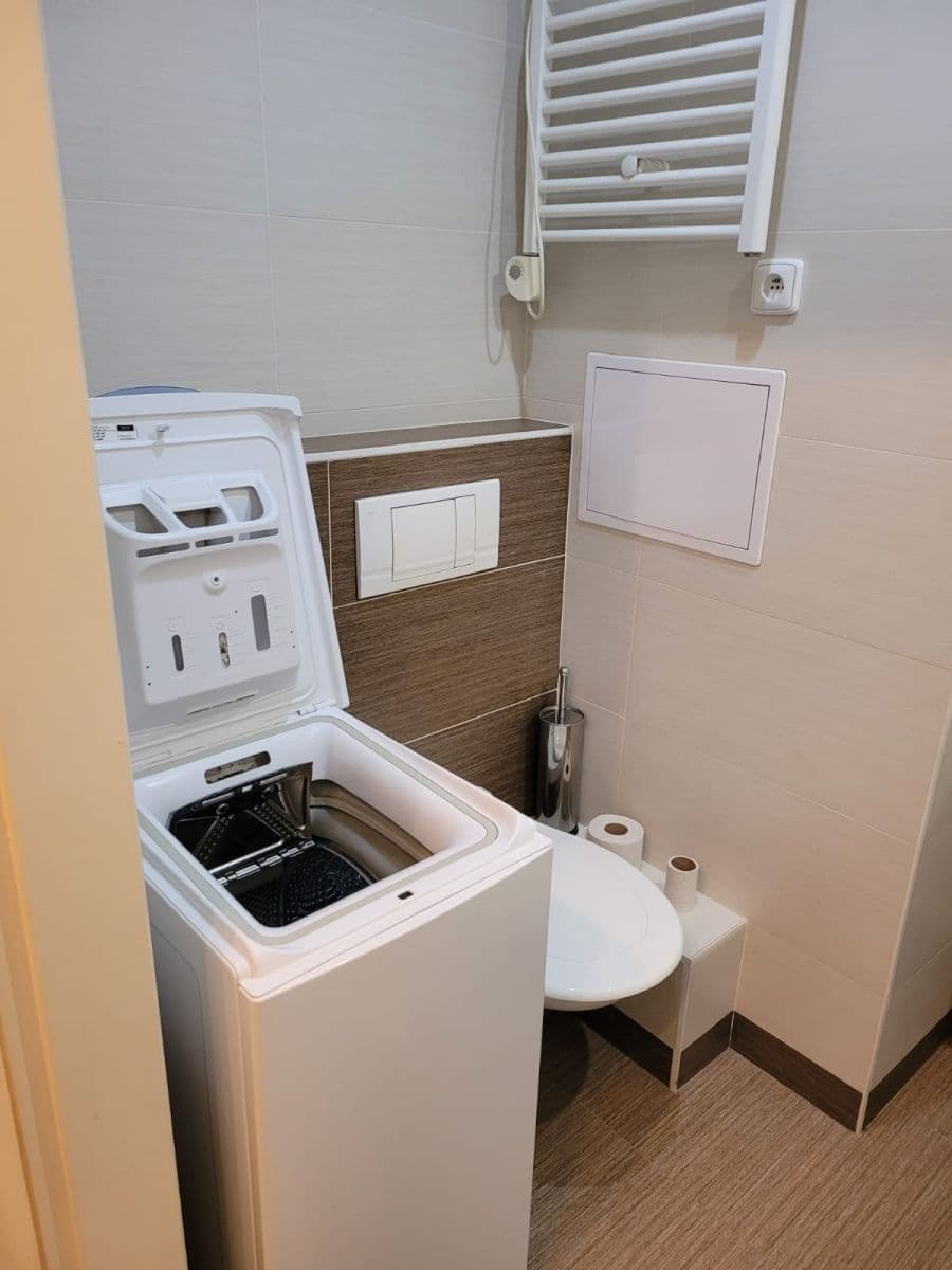 1 bedroom with open-plan kitchen flat to rent, 42 m², Ratibořská, Prague, Prague 1 bedroom with open-plan kitchen flat to rent, 42 m², Ratibořská, Prague, Prague