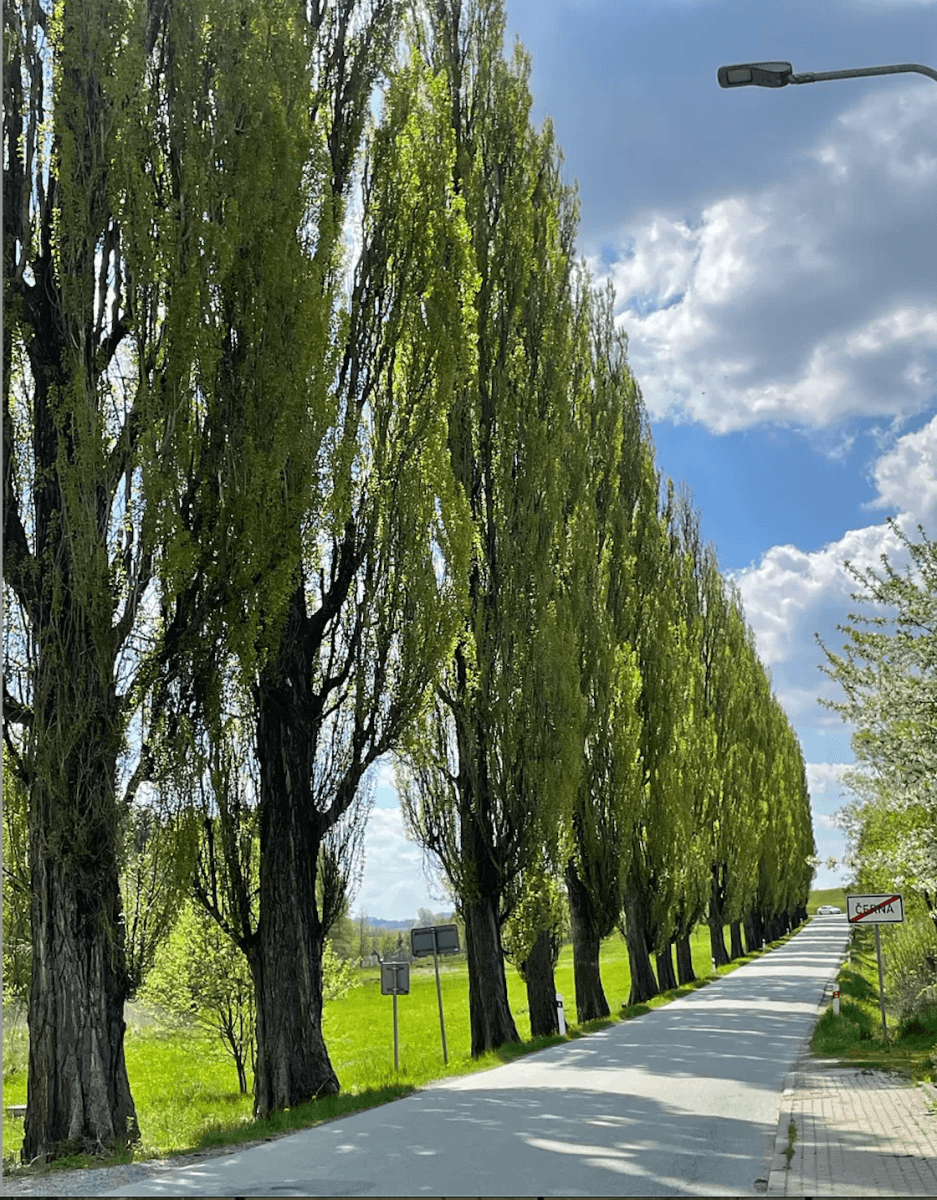 1 bedroom with open-plan kitchen flat for sale, 52 m², Černá, Vysočina Region 1 bedroom with open-plan kitchen flat for sale, 52 m², Černá, Vysočina Region