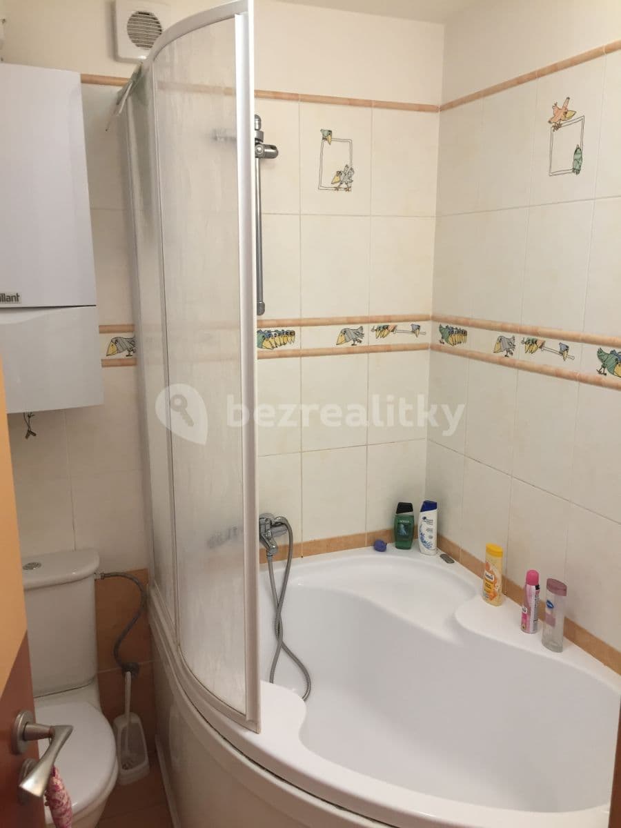 1 bedroom with open-plan kitchen flat to rent, 50 m², Nuselská, Prague, Prague 1 bedroom with open-plan kitchen flat to rent, 50 m², Nuselská, Prague, Prague