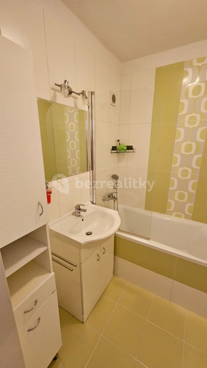 1 bedroom with open-plan kitchen flat to rent, 43 m², Boloňská, Prague, Prague 1 bedroom with open-plan kitchen flat to rent, 43 m², Boloňská, Prague, Prague