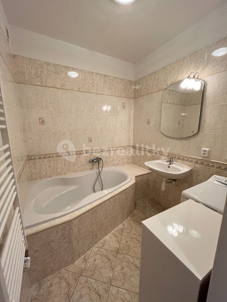 1 bedroom with open-plan kitchen flat to rent, 60 m², Lipnická, Prague, Prague 1 bedroom with open-plan kitchen flat to rent, 60 m², Lipnická, Prague, Prague