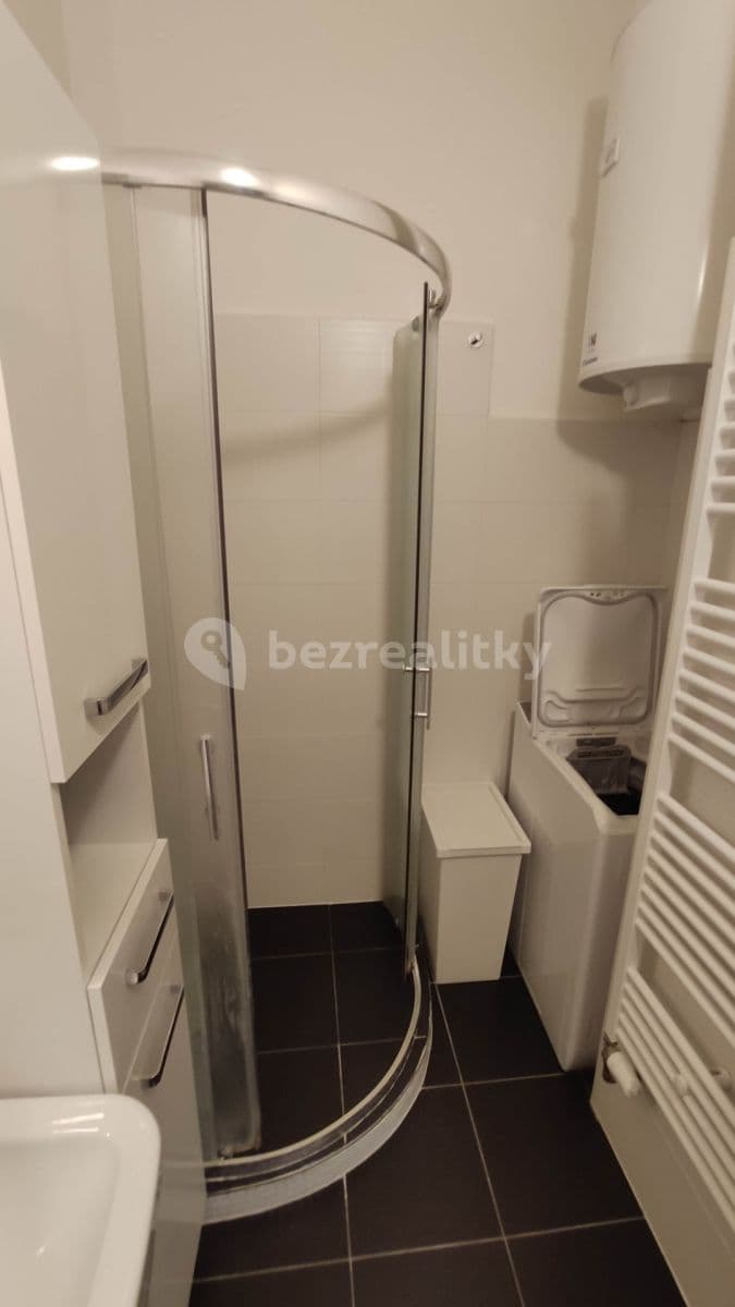 1 bedroom with open-plan kitchen flat to rent, 50 m², Jeseniova, Prague, Prague 1 bedroom with open-plan kitchen flat to rent, 50 m², Jeseniova, Prague, Prague