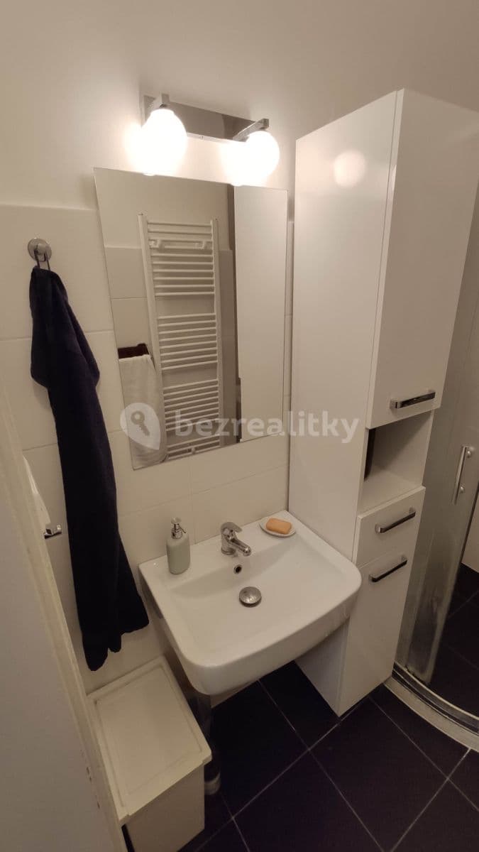 1 bedroom with open-plan kitchen flat to rent, 50 m², Jeseniova, Prague, Prague 1 bedroom with open-plan kitchen flat to rent, 50 m², Jeseniova, Prague, Prague