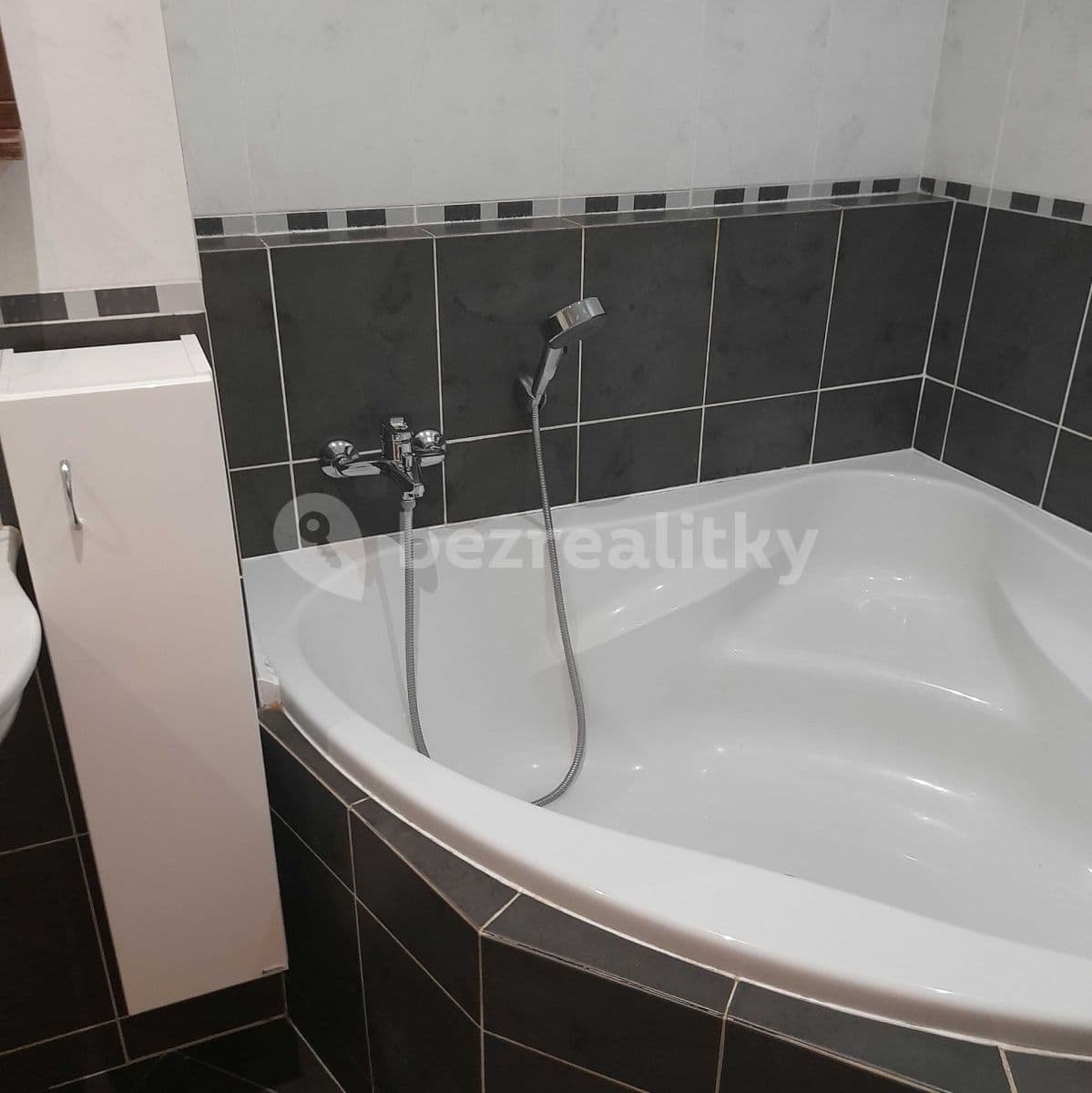 1 bedroom with open-plan kitchen flat to rent, 55 m², Štorkánova, Prague, Prague 1 bedroom with open-plan kitchen flat to rent, 55 m², Štorkánova, Prague, Prague