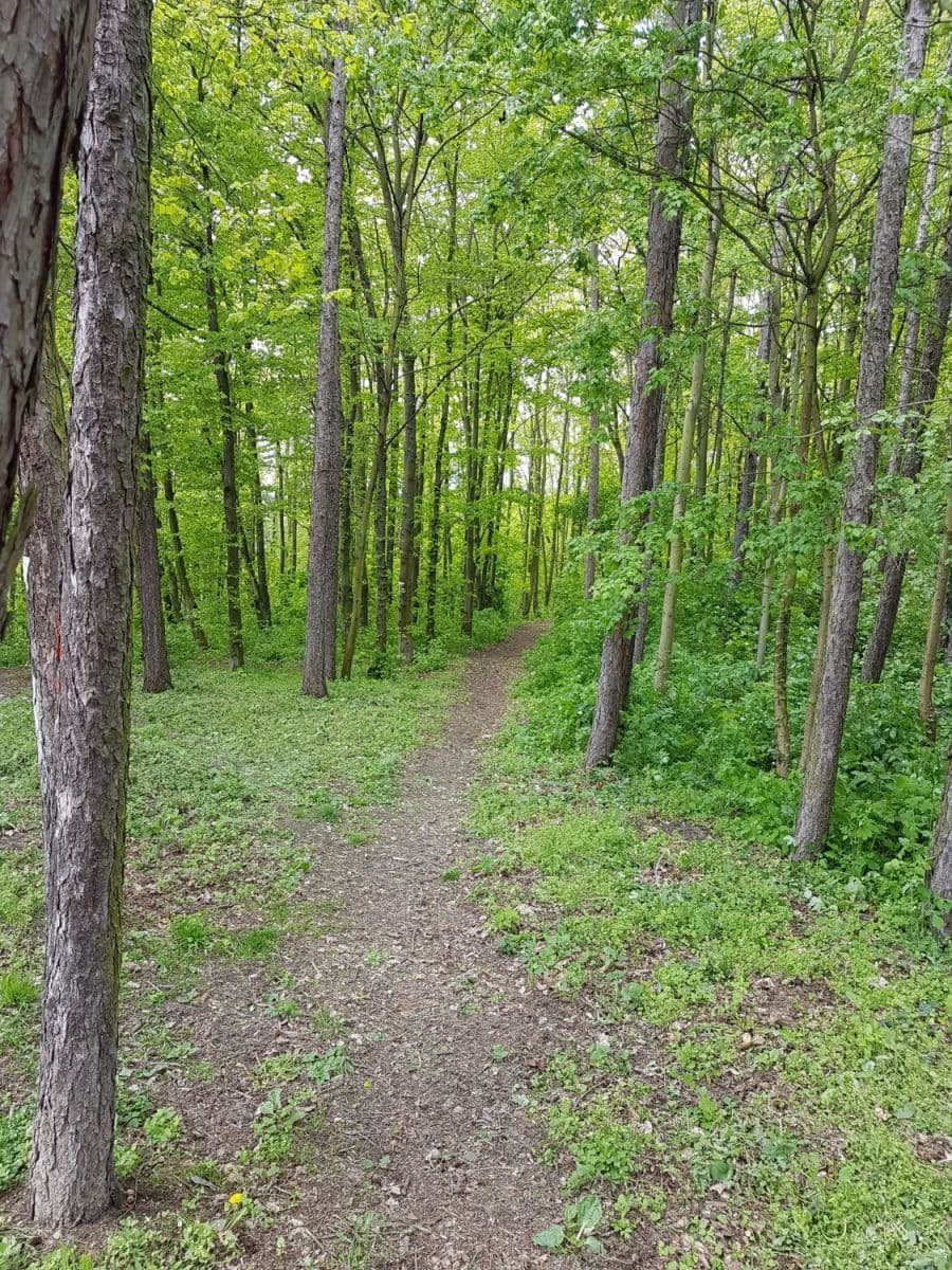 flat to rent, 60 m², Šárecká, Prague, Prague flat to rent, 60 m², Šárecká, Prague, Prague