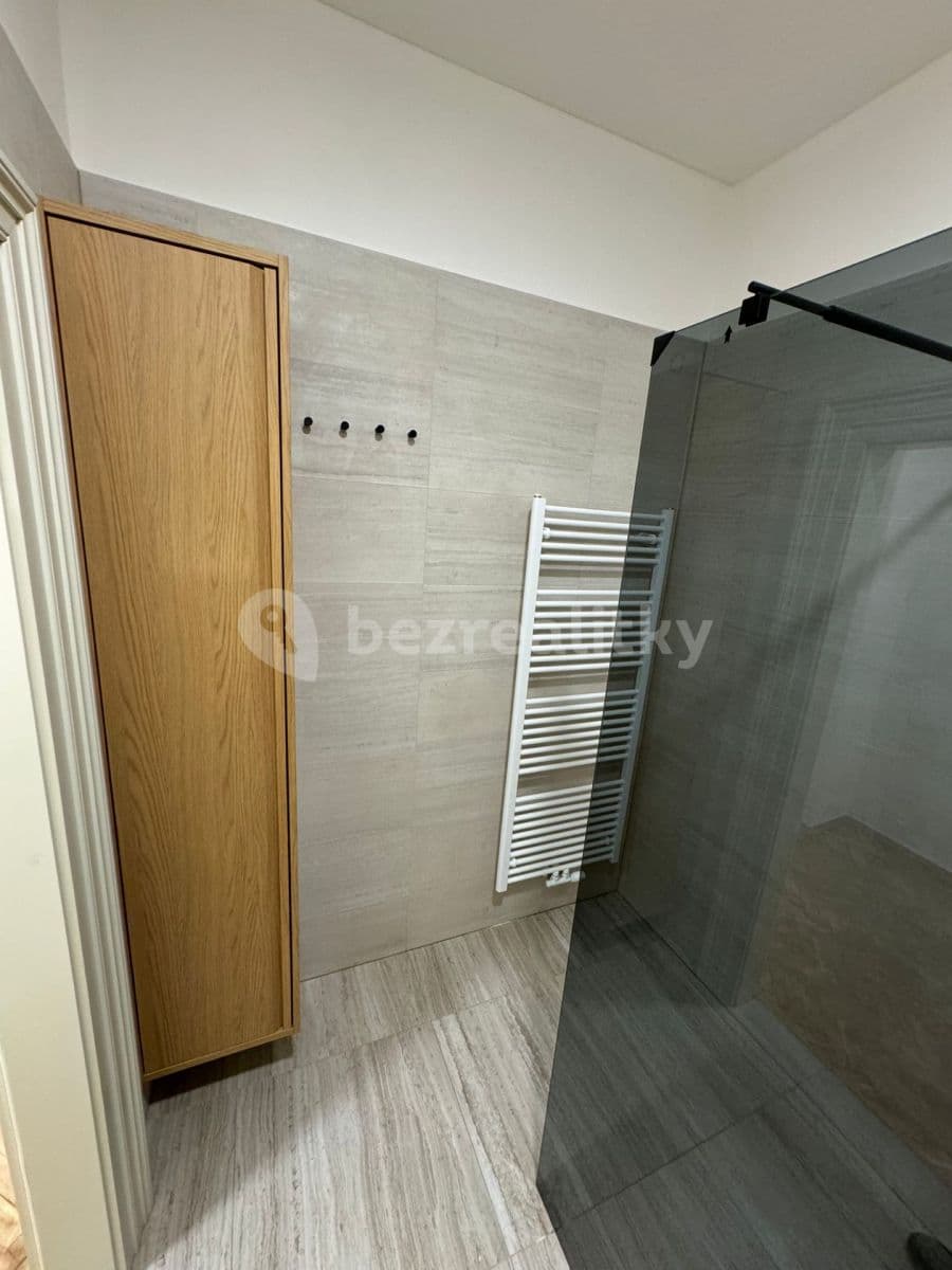 1 bedroom with open-plan kitchen flat to rent, 56 m², Jungmannova, Prague, Prague 1 bedroom with open-plan kitchen flat to rent, 56 m², Jungmannova, Prague, Prague