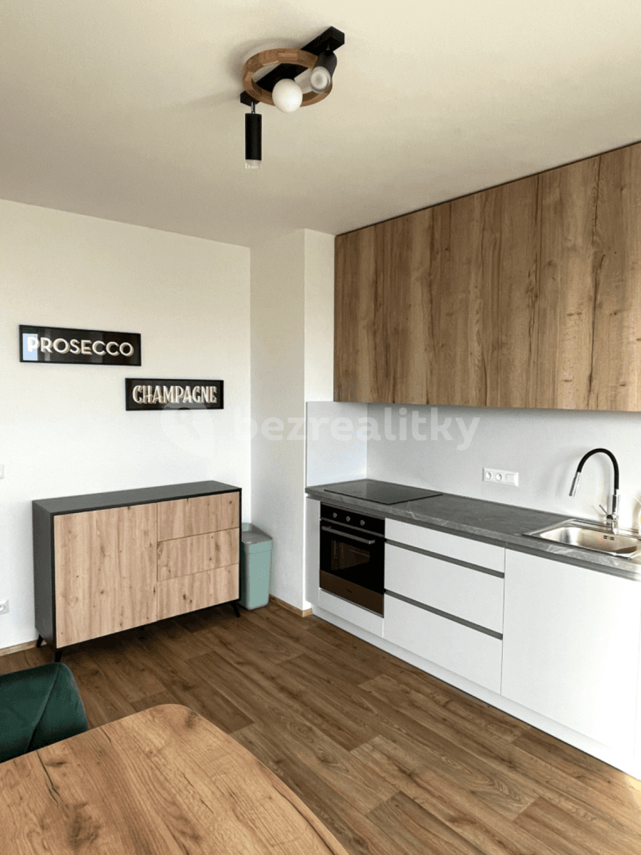 1 bedroom flat to rent, 47 m², Řepova, Brno, Jihomoravský Region 1 bedroom flat to rent, 47 m², Řepova, Brno, Jihomoravský Region