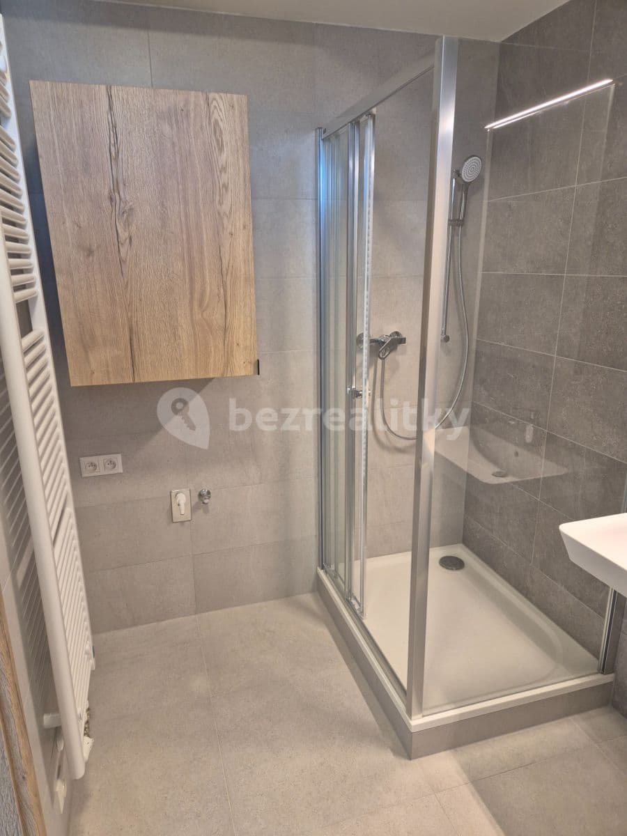 1 bedroom with open-plan kitchen flat to rent, 41 m², Řepova, Brno, Jihomoravský Region 1 bedroom with open-plan kitchen flat to rent, 41 m², Řepova, Brno, Jihomoravský Region