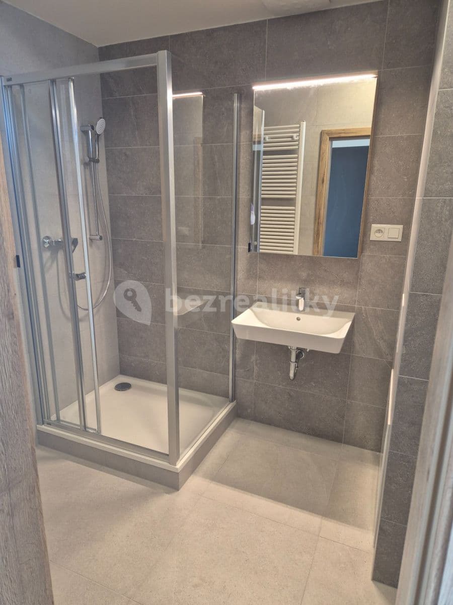 1 bedroom with open-plan kitchen flat to rent, 41 m², Řepova, Brno, Jihomoravský Region 1 bedroom with open-plan kitchen flat to rent, 41 m², Řepova, Brno, Jihomoravský Region