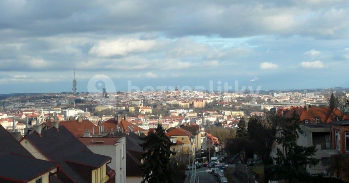 1 bedroom with open-plan kitchen flat to rent, 65 m², U Malvazinky, Prague, Prague 1 bedroom with open-plan kitchen flat to rent, 65 m², U Malvazinky, Prague, Prague