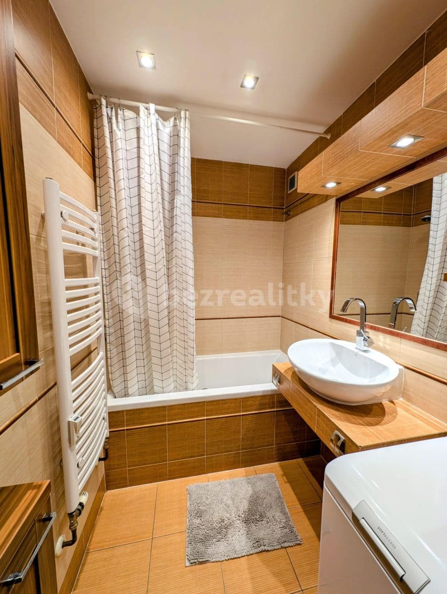 1 bedroom with open-plan kitchen flat to rent, 65 m², U Malvazinky, Prague, Prague 1 bedroom with open-plan kitchen flat to rent, 65 m², U Malvazinky, Prague, Prague