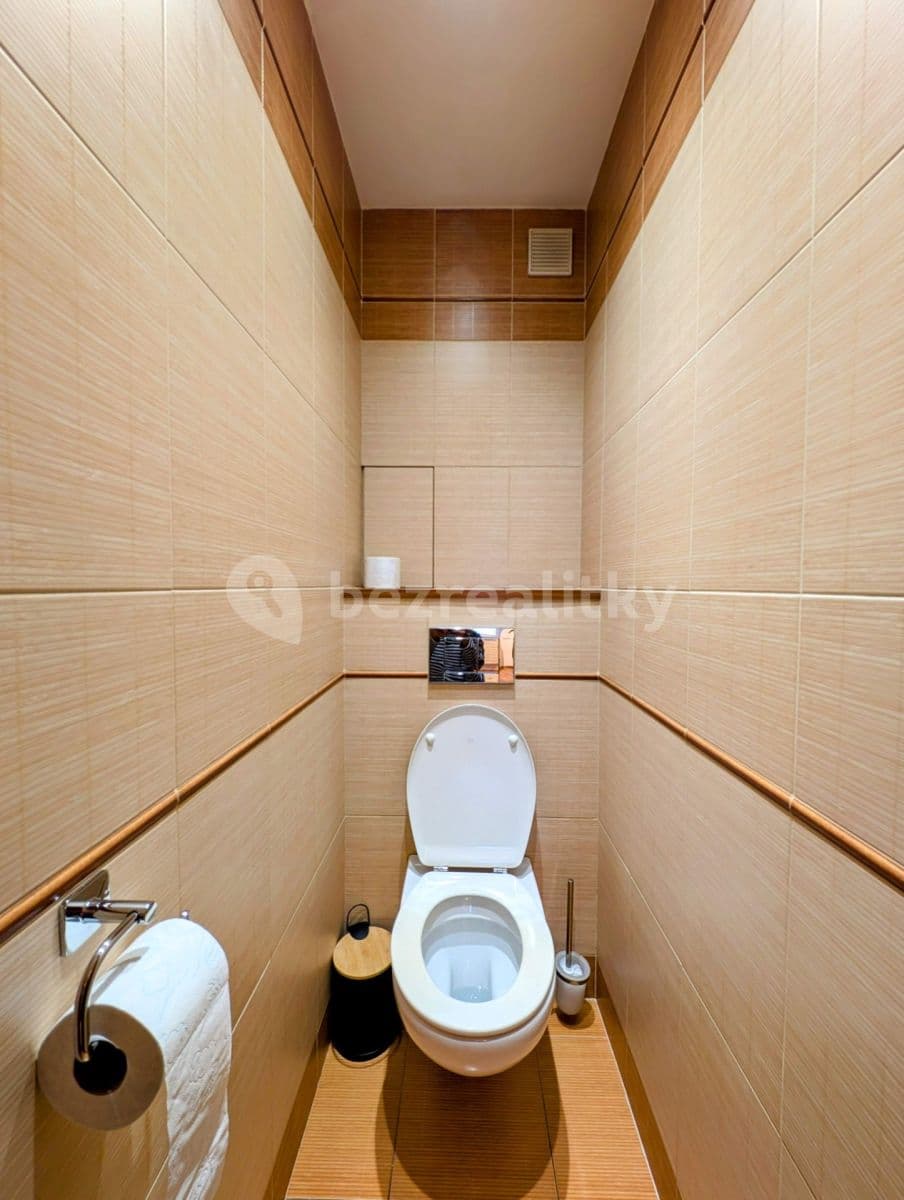 1 bedroom with open-plan kitchen flat to rent, 65 m², U Malvazinky, Prague, Prague 1 bedroom with open-plan kitchen flat to rent, 65 m², U Malvazinky, Prague, Prague