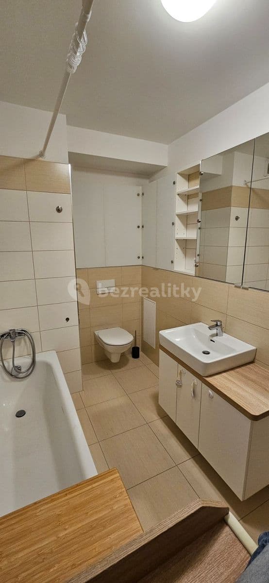 1 bedroom with open-plan kitchen flat to rent, 56 m², Makedonská, Prague, Prague 1 bedroom with open-plan kitchen flat to rent, 56 m², Makedonská, Prague, Prague
