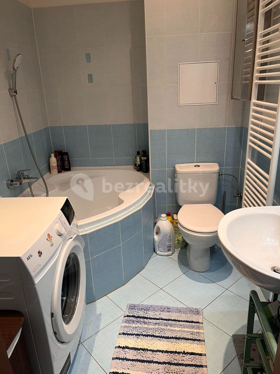 1 bedroom with open-plan kitchen flat to rent, 41 m², Plzeňská, Prague, Prague 1 bedroom with open-plan kitchen flat to rent, 41 m², Plzeňská, Prague, Prague