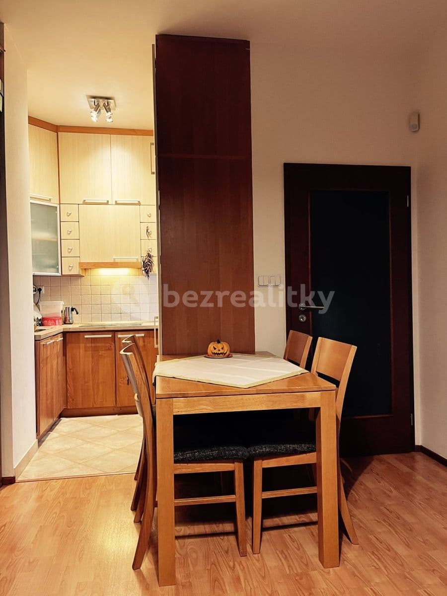 1 bedroom with open-plan kitchen flat to rent, 41 m², Plzeňská, Prague, Prague 1 bedroom with open-plan kitchen flat to rent, 41 m², Plzeňská, Prague, Prague