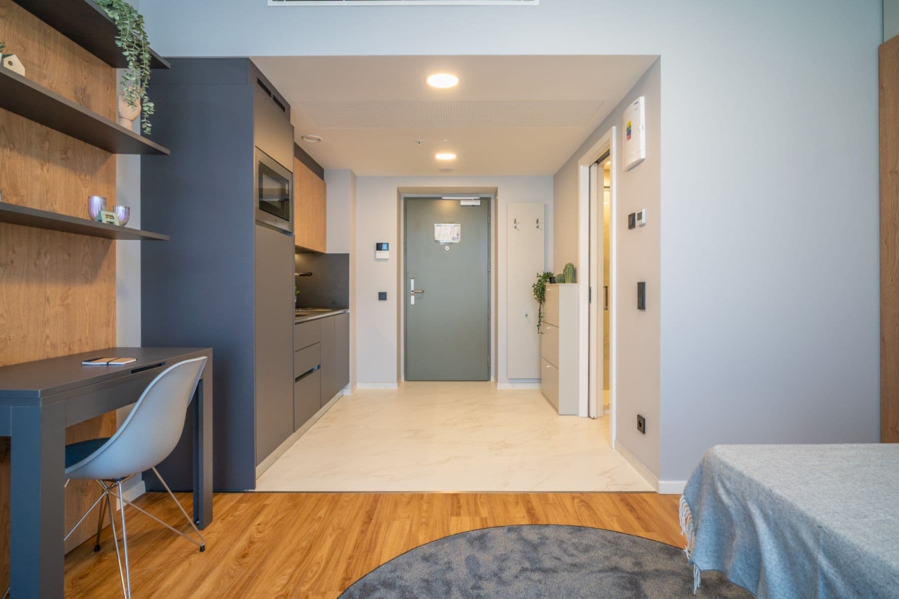 1 bedroom with open-plan kitchen flat to rent, 28 m², Legerova, Prague, Prague 1 bedroom with open-plan kitchen flat to rent, 28 m², Legerova, Prague, Prague