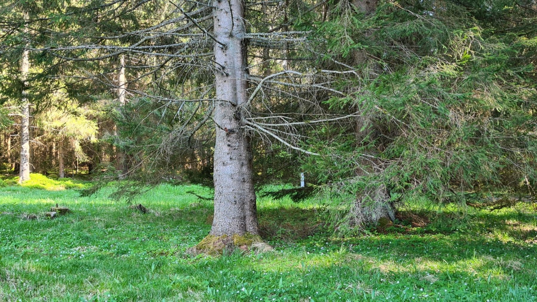 house for sale, 251 m², Loučovice, Jihočeský Region house for sale, 251 m², Loučovice, Jihočeský Region