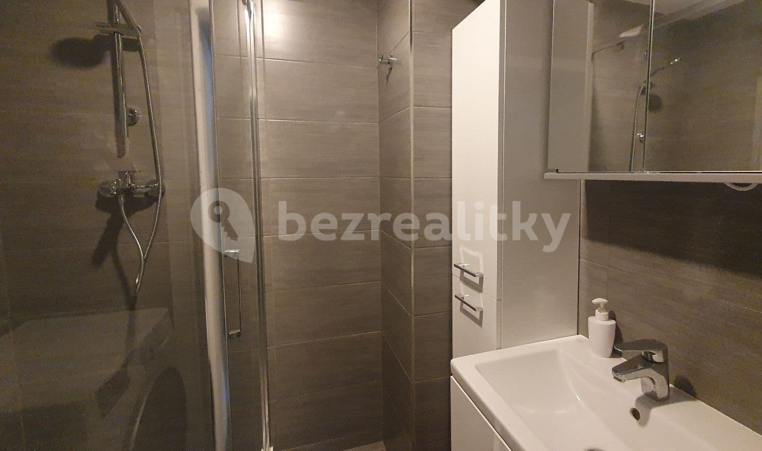 1 bedroom with open-plan kitchen flat to rent, 46 m², Biskupcova, Prague, Prague 1 bedroom with open-plan kitchen flat to rent, 46 m², Biskupcova, Prague, Prague