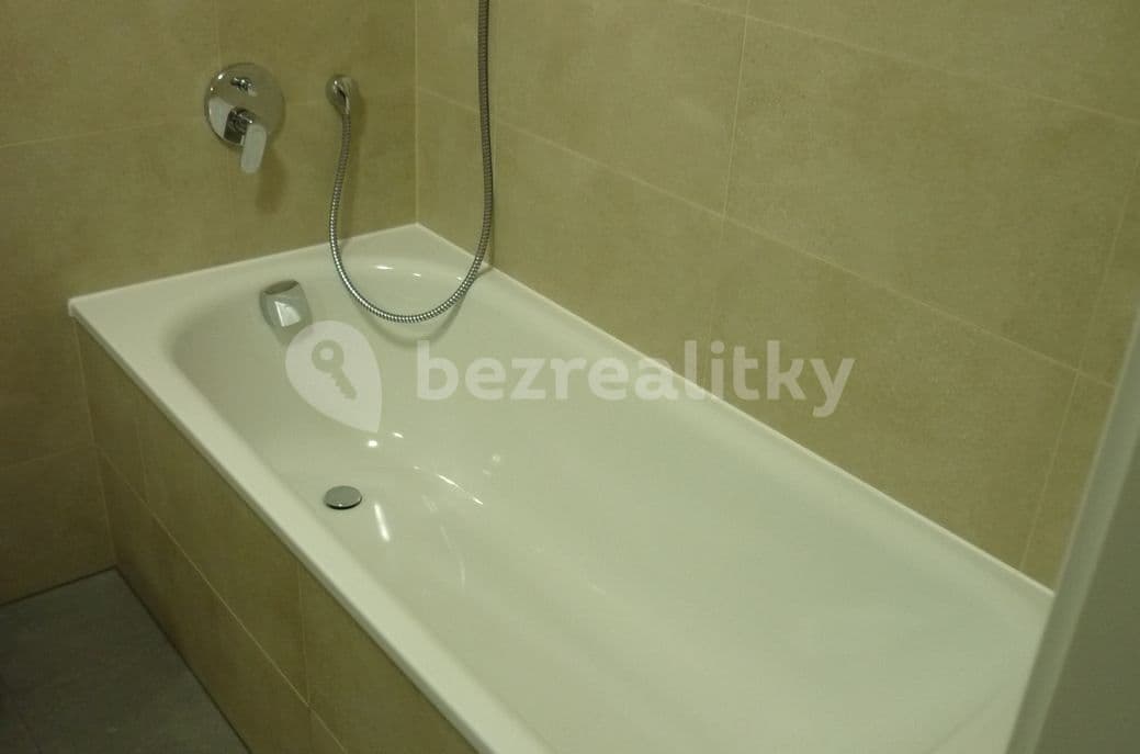 1 bedroom with open-plan kitchen flat to rent, 54 m², V Třešňovce, Prague, Prague 1 bedroom with open-plan kitchen flat to rent, 54 m², V Třešňovce, Prague, Prague