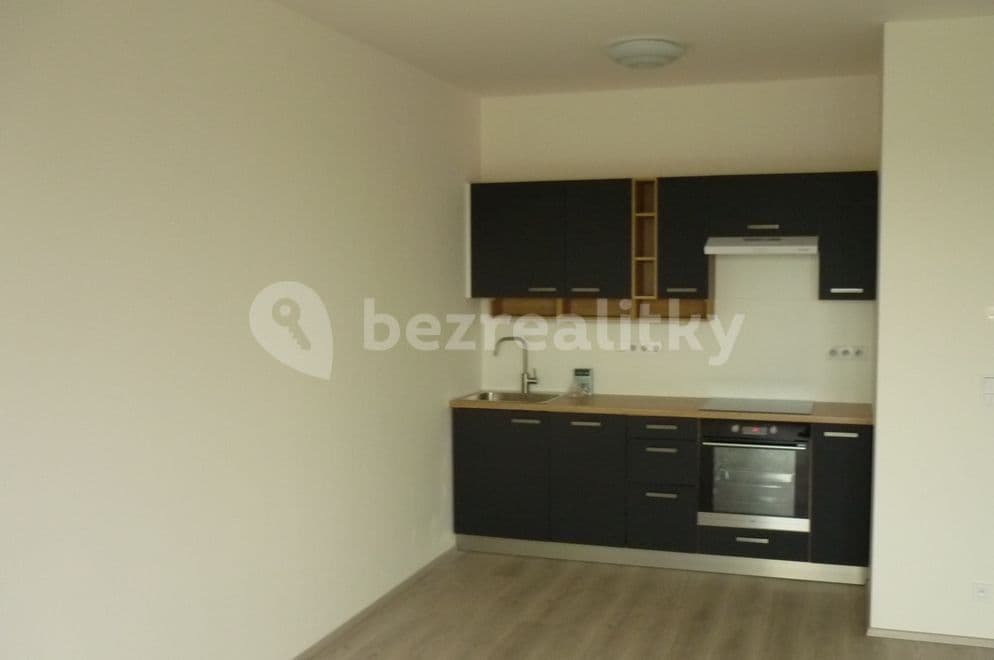 1 bedroom with open-plan kitchen flat to rent, 54 m², V Třešňovce, Prague, Prague 1 bedroom with open-plan kitchen flat to rent, 54 m², V Třešňovce, Prague, Prague