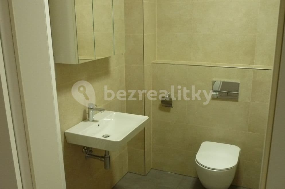 1 bedroom with open-plan kitchen flat to rent, 54 m², V Třešňovce, Prague, Prague 1 bedroom with open-plan kitchen flat to rent, 54 m², V Třešňovce, Prague, Prague