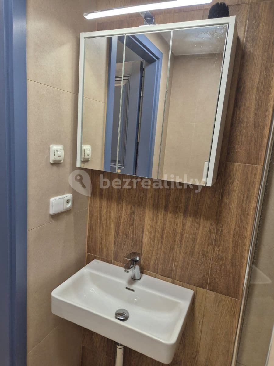 1 bedroom with open-plan kitchen flat to rent, 46 m², Fűgnerova, Slaný, Středočeský Region 1 bedroom with open-plan kitchen flat to rent, 46 m², Fűgnerova, Slaný, Středočeský Region