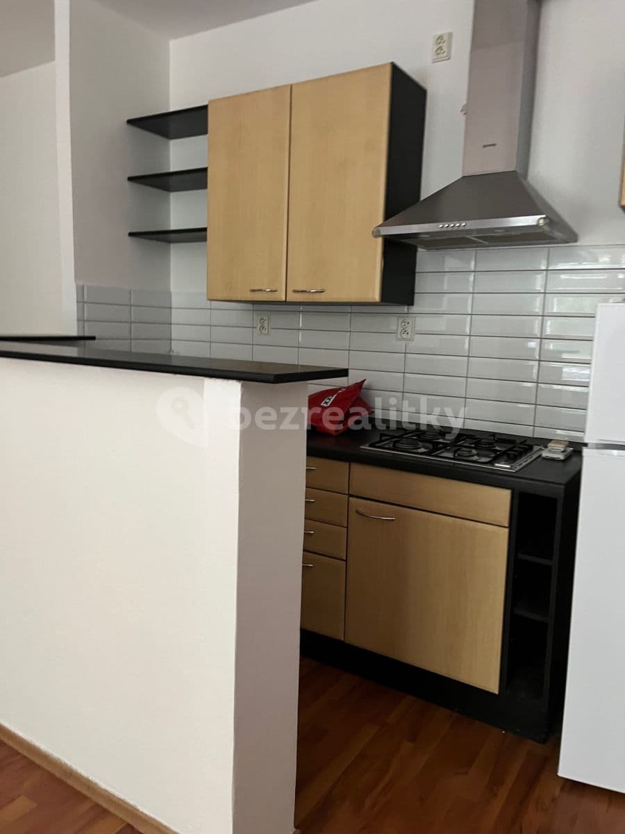 1 bedroom with open-plan kitchen flat to rent, 53 m², Malířská, Prague, Prague 1 bedroom with open-plan kitchen flat to rent, 53 m², Malířská, Prague, Prague