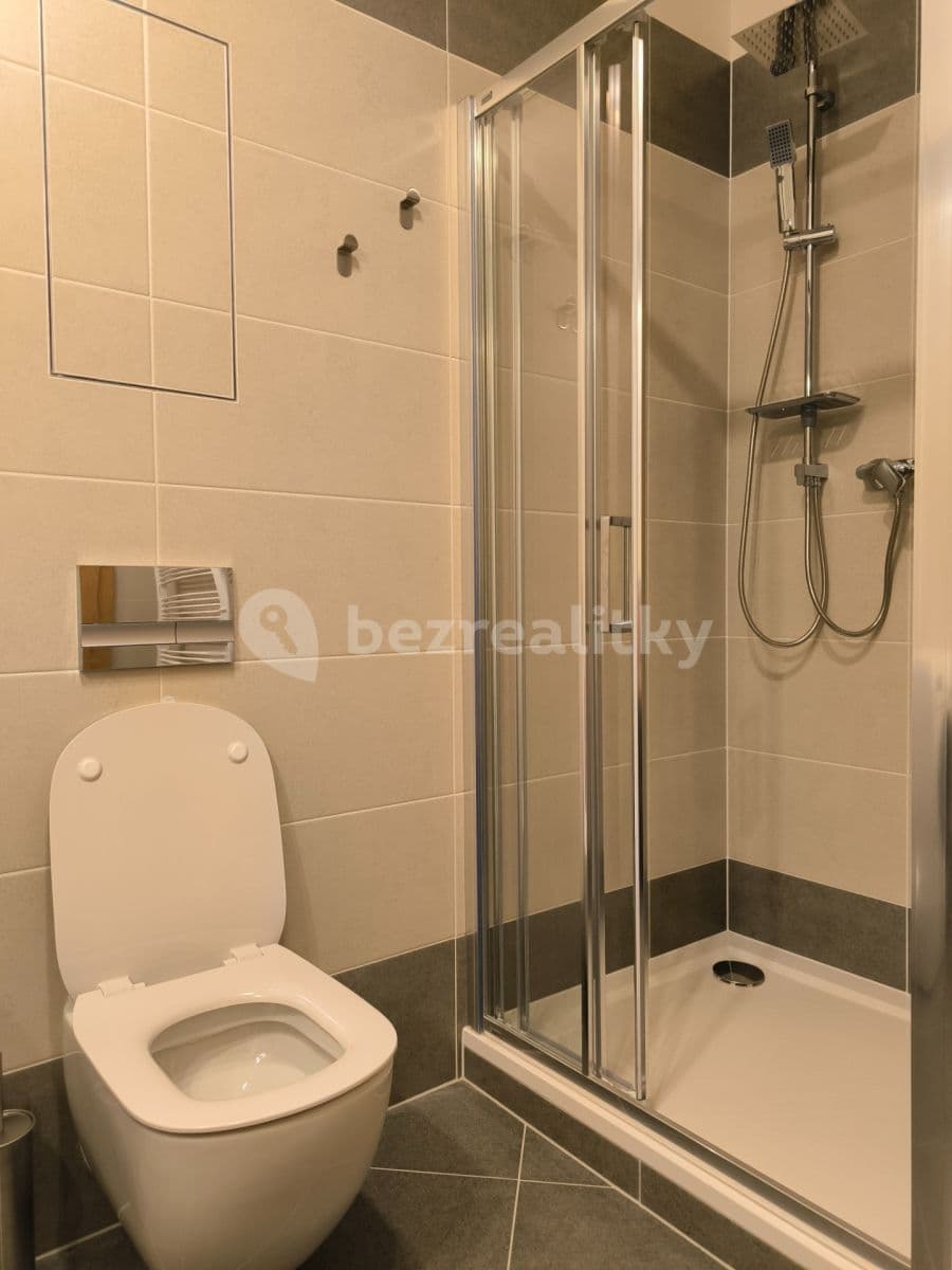 1 bedroom with open-plan kitchen flat to rent, 40 m², Kardausova, Prague, Prague 1 bedroom with open-plan kitchen flat to rent, 40 m², Kardausova, Prague, Prague